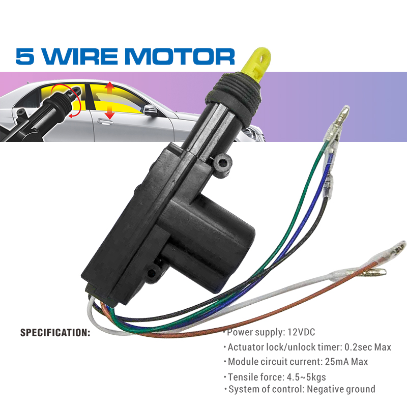 5-wire-motor